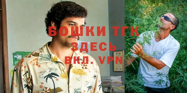 альфа пвп Гусев