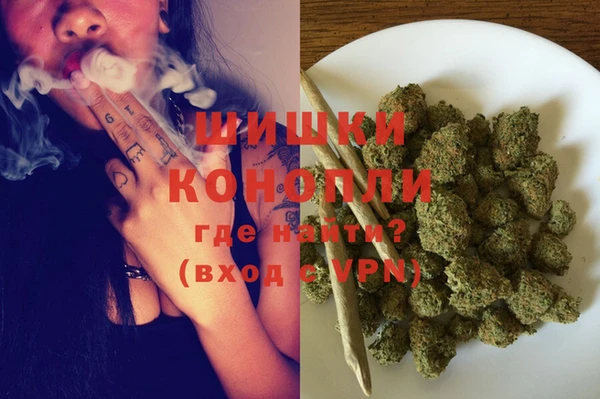 альфа пвп Гусев