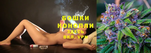 альфа пвп Гусев