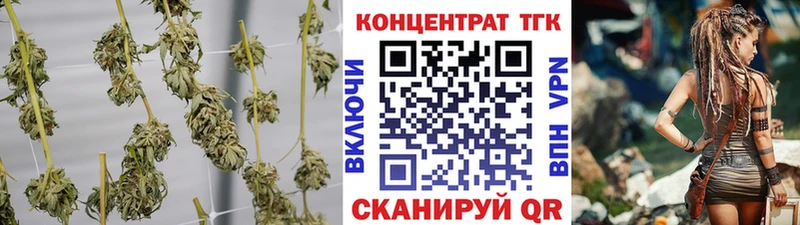 ссылка на мегу как войти  маркетплейс клад  Дистиллят ТГК THC oil  Осинники 