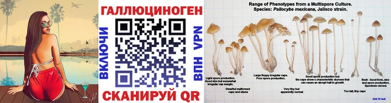 Галлюциногенные грибы MAGIC MUSHROOMS  Осинники 