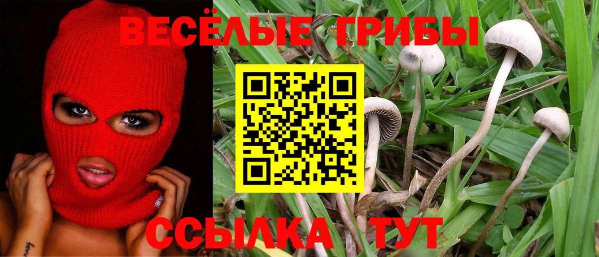 Галлюциногенные грибы мицелий  Галлюциногенные грибы ЛСД  Вход с VPN  Осинники 