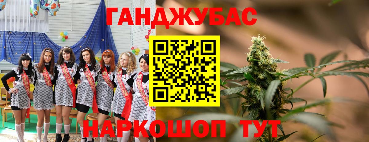 Шишки марихуана планчик  Вход с VPN  Бошки Шишки планчик  Марихуана конопля  Осинники 
